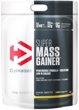 Super Mass Gainer, Gourmet Vanilla - 5232 grams