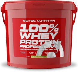 100% Whey Protein Professional, Chocolate - 5000 grams
