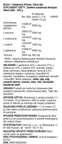 BCAA + Glutamine XPress, Citrus Mix - 300 grams